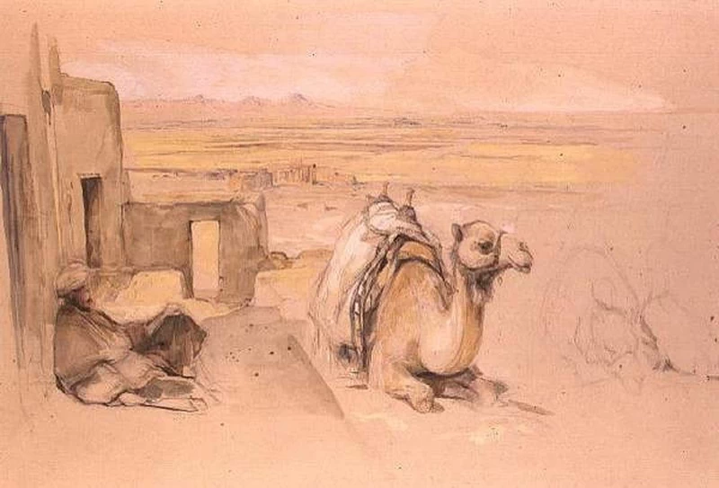 Cammello, Tebe ovest - Victoria & Albert Museum, London